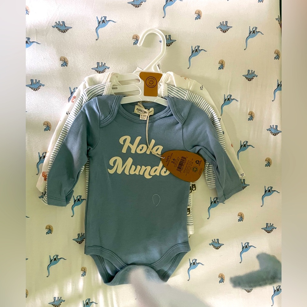 Rabbit and Bear (3) piece onesie set
